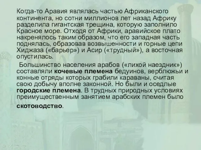 Когда-то Аравия являлась частью Африканского континента, но сотни миллионов лет назад