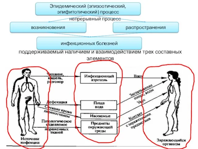 поддерживаемый наличием и взаимодействием трех составных элементов Эпидемический (эпизоотический, эпифитотический) процесс