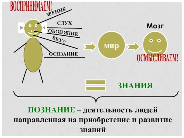 .. мир Мозг ОСМЫСЛИВАЕМ! ВОСПРИНИМАЕМ! ЗНАНИЯ ПОЗНАНИЕ – деятельность людей направленная