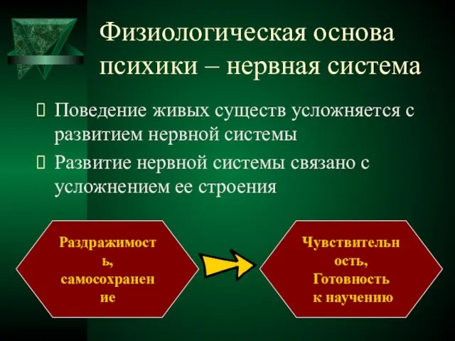 Физиологическая основа психики – нервная система Поведение живых существ усложняется с