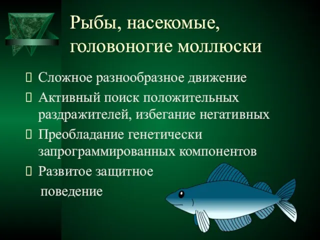 Рыбы, насекомые, головоногие моллюски Сложное разнообразное движение Активный поиск положительных раздражителей,