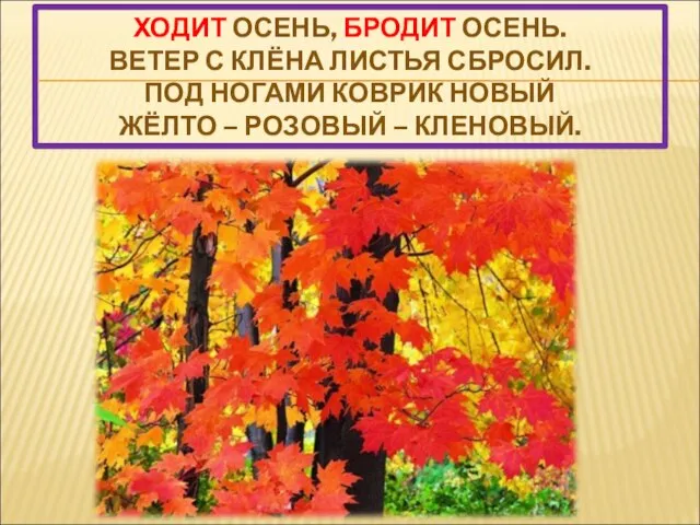 ХОДИТ ОСЕНЬ, БРОДИТ ОСЕНЬ. ВЕТЕР С КЛЁНА ЛИСТЬЯ СБРОСИЛ. ПОД НОГАМИ