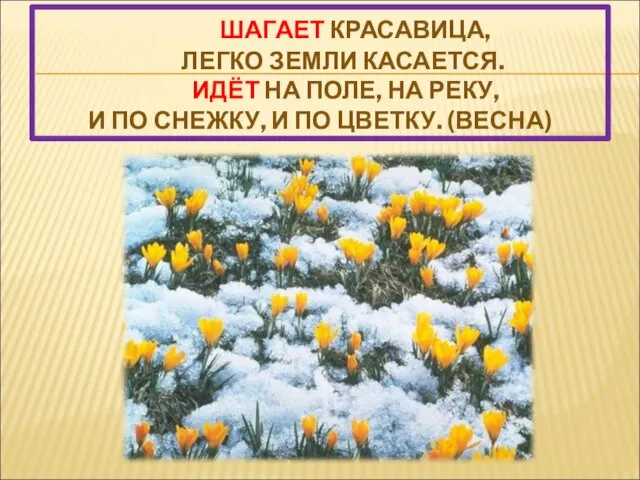 ШАГАЕТ КРАСАВИЦА, ЛЕГКО ЗЕМЛИ КАСАЕТСЯ. ИДЁТ НА ПОЛЕ, НА РЕКУ, И