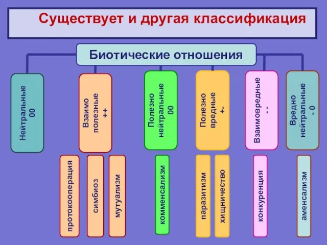 Существует и другая классификация Биотические отношения Нейтральные 00 Взаимо полезные ++