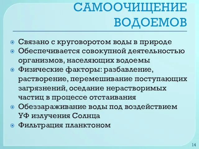 САМООЧИЩЕНИЕ ВОДОЕМОВ Связано с круговоротом воды в природе Обеспечивается совокупной деятельностью