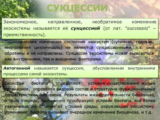 СУКЦЕССИИ Периодические изменения состояния экосистем (суточная, годовая, многолетняя цикличность) не являются