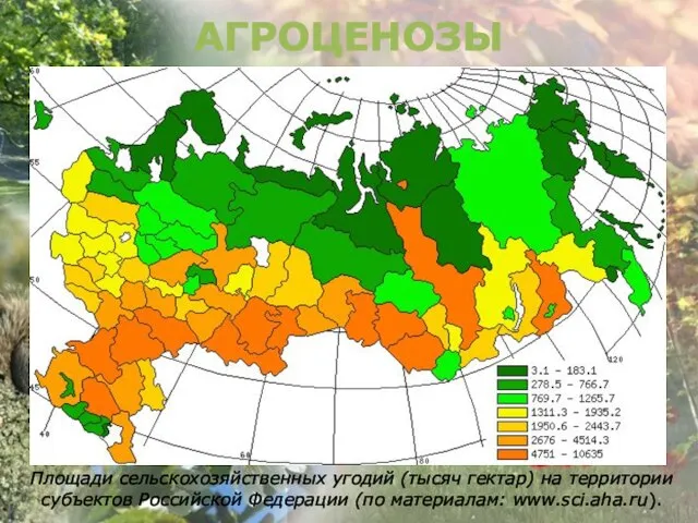 Площади сельскохозяйственных угодий (тысяч гектар) на территории субъектов Российской Федерации (по материалам: www.sci.aha.ru). АГРОЦЕНОЗЫ