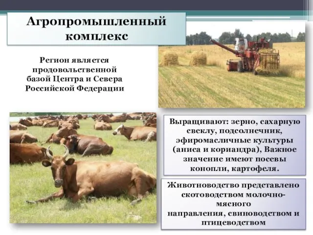 Агропромышленный комплекс Регион является продовольственной базой Центра и Севера Российской Федерации