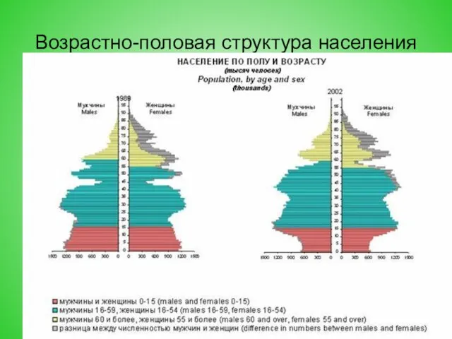 Возрастно-половая структура населения