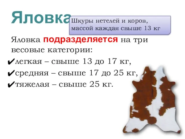 Яловка Яловка подразделяется на три весовые категории: легкая – свыше 13