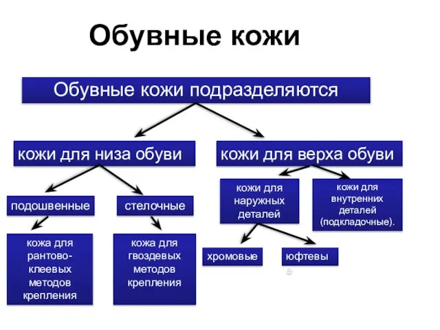 Обувные кожи Обувные кожи подразделяются кожи для низа обуви кожи для