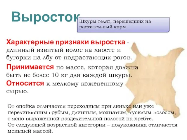 Выросток Характерные признаки выростка - длинный извитый волос на хвосте и