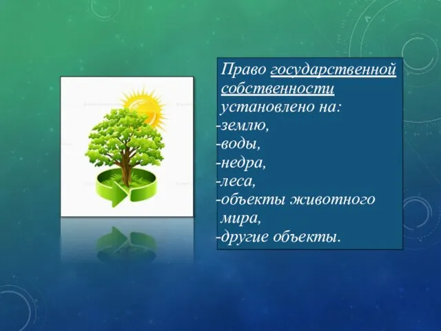 Право государственной собственности установлено на: землю, воды, недра, леса, объекты животного мира, другие объекты.