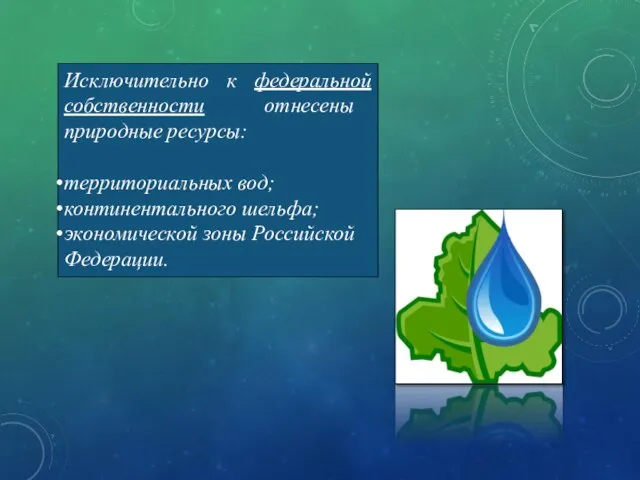 Исключительно к федеральной собственности отнесены природные ресурсы: территориальных вод; континентального шельфа; экономической зоны Российской Федерации.