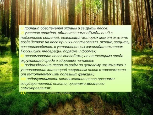 6) принцип обеспечения охраны и защиты лесов: 7) участие граждан, общественных