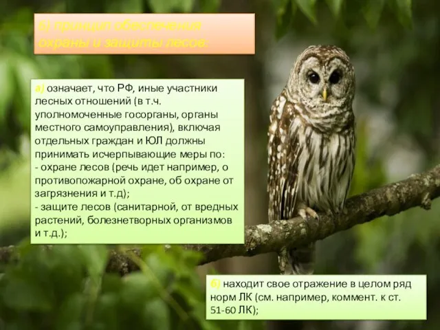 6) принцип обеспечения охраны и защиты лесов: а) означает, что РФ,