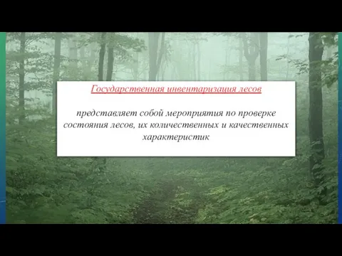 Государственная инвентаризация лесов представляет собой мероприятия по проверке состояния лесов, их количественных и качественных характеристик