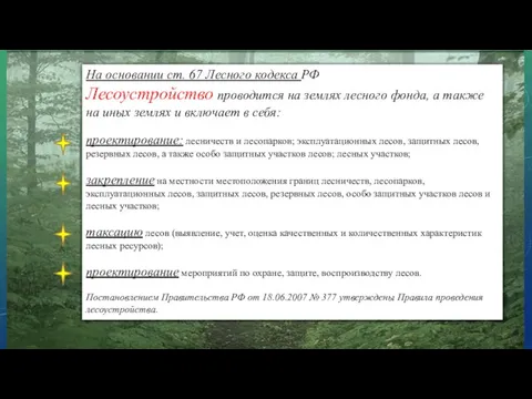 На основании ст. 67 Лесного кодекса РФ Лесоустройство проводится на землях