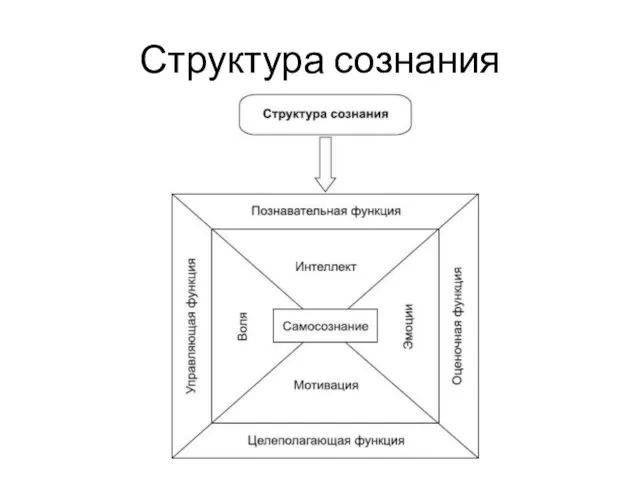 Структура сознания