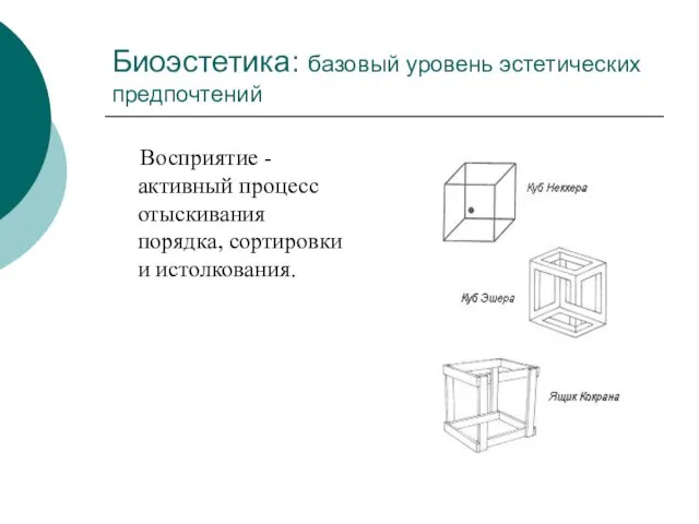 Биоэстетика: базовый уровень эстетических предпочтений Восприятие - активный процесс отыскивания порядка, сортировки и истолкования.