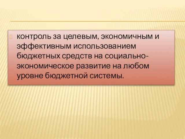 контроль за целевым, экономичным и эффективным использованием бюджетных средств на социально-экономическое