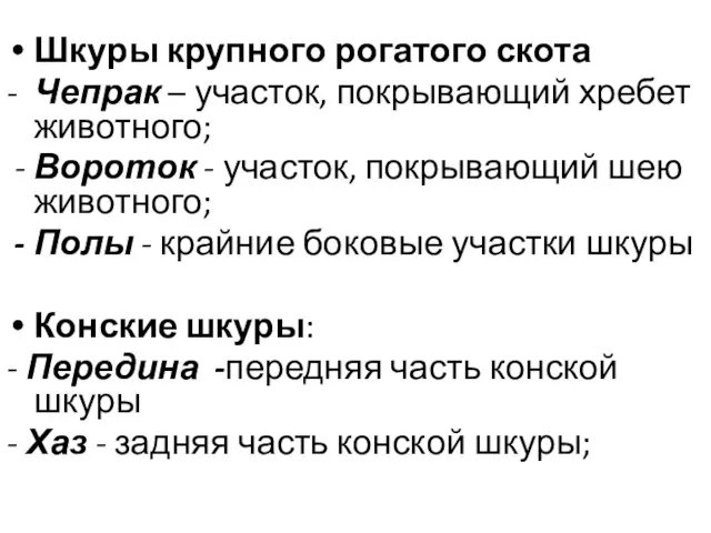 Шкуры крупного рогатого скота - Чепрак – участок, покрывающий хребет животного;