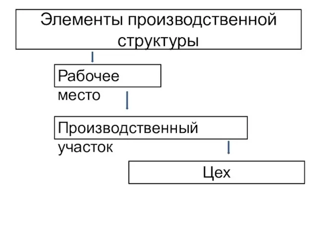 Элементы производственной структуры Рабочее место Производственный участок Цех