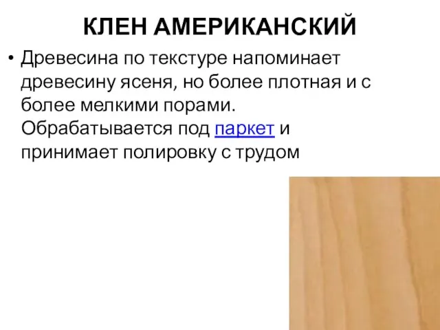 КЛЕН АМЕРИКАНСКИЙ Древесина по текстуре напоминает древесину ясеня, но более плотная