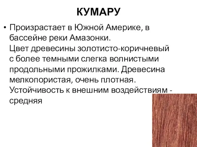 КУМАРУ Произрастает в Южной Америке, в бассейне реки Амазонки. Цвет древесины