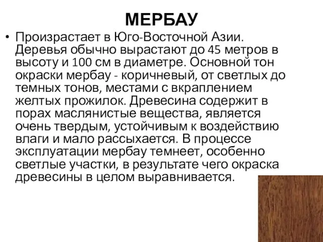 МЕРБАУ Произрастает в Юго-Восточной Азии. Деревья обычно вырастают до 45 метров