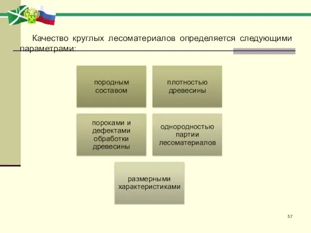 Качество круглых лесоматериалов определяется следующими параметрами: