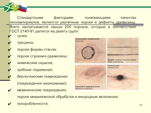 Стандартными факторами, понижающими качество лесоматериалов, являются различные пороки и дефекты древесины.