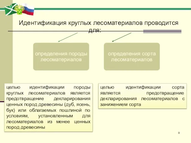 Идентификация круглых лесоматериалов проводится для: целью идентификации породы круглых лесоматериалов является