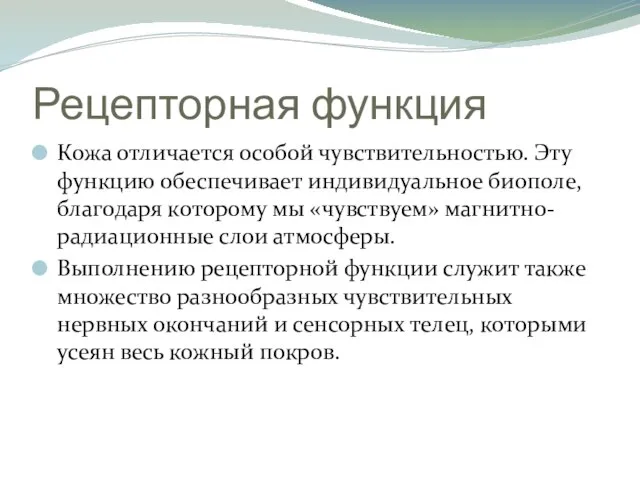 Рецепторная функция Кожа отличается особой чувствительностью. Эту функцию обеспечивает индивидуальное биополе,