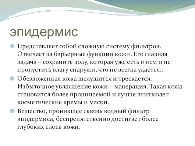 эпидермис Представляет собой сложную систему фильтров. Отвечает за барьерные функции кожи.