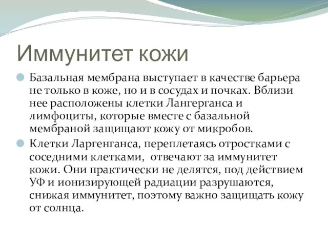 Иммунитет кожи Базальная мембрана выступает в качестве барьера не только в