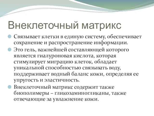 Внеклеточный матрикс Связывает клетки в единую систему, обеспечивает сохранение и распространение