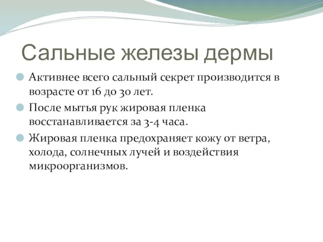 Сальные железы дермы Активнее всего сальный секрет производится в возрасте от