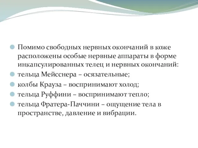 Помимо свободных нервных окончаний в коже расположены особые нервные аппараты в