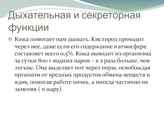 Дыхательная и секреторная функции Кожа помогает нам дышать. Кислород проходит через