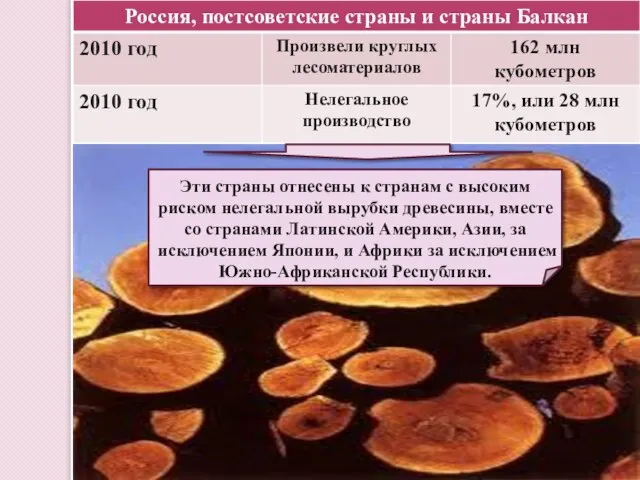 Эти страны отнесены к странам с высоким риском нелегальной вырубки древесины,