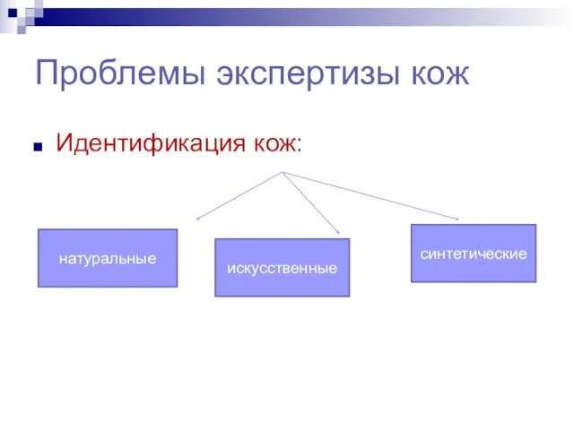 Проблемы экспертизы кож Идентификация кож: натуральные искусственные синтетические