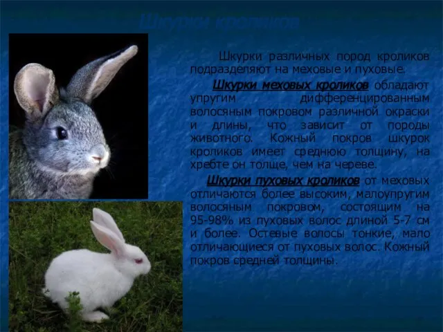 Шкурки кроликов Шкурки различных пород кроликов подразделяют на меховые и пуховые.