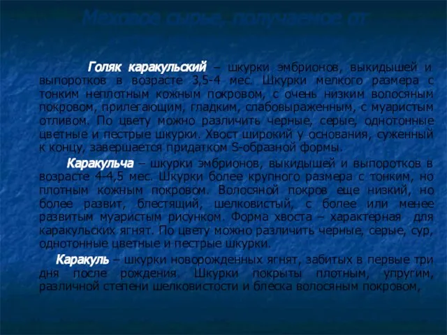 Меховое сырье, получаемое от каракульских пород овец Голяк каракульский – шкурки