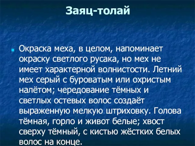 Заяц-толай Окраска меха, в целом, напоминает окраску светлого русака, но мех