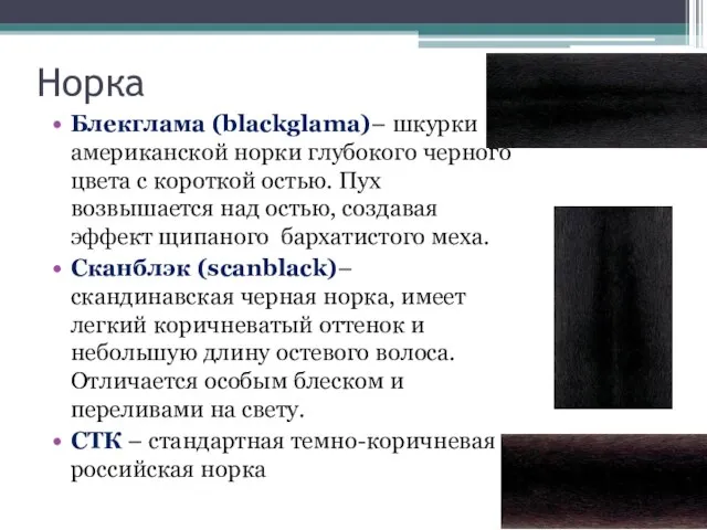 Норка Блекглама (blackglama)– шкурки американской норки глубокого черного цвета с короткой