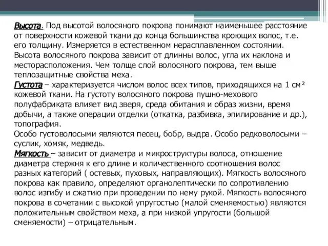 Высота. Под высотой волосяного покрова понимают наименьшее расстояние от поверхности кожевой