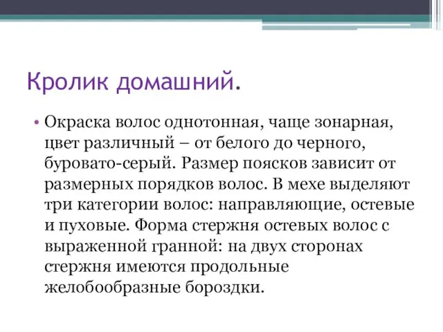 Кролик домашний. Окраска волос однотонная, чаще зонарная, цвет различный – от