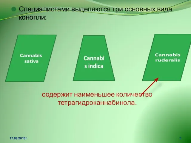 Специалистами выделяются три основных вида конопли: содержит наименьшее количество тетрагидроканнабинола. 17.09.2013г.