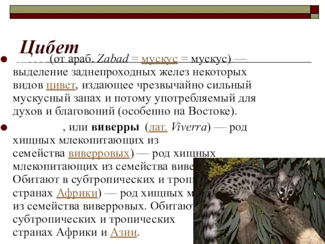 Цибет (от араб. Zabad = мускус = мускус) — выделение заднепроходных